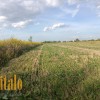 Продаю Земельну ділянку с г призначення . Чукалівка, фото 1