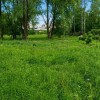 Продаж земельної ділянки під забудову Козин,Конча Заспа., фото 5