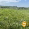 Продаж Земельної ділянки в с.Вислобоки, фото 5