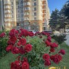 Продаж 3 кімнатної квартири Стрийська, Креаторбуд, фото 1