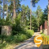 У сосновому лісі біля Романківська Усадьба, Новообухівський напрямок, 15 соток, фото 8