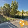 Ділянка, 12 соток, біля озера Святище, Осокорки, до метро Славутич 6 км, фото 4