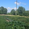 Земельні ділянки 1.87гас.СтопчатівКосівський район, фото 10