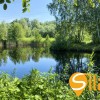 Ділянка з виходом до водойми в затишному місці Романків, СТ Барвінок, Новообухівський напрямок, 14 соток., фото 29