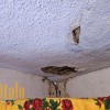 Будинок 25 сотокс.Середній Березів  Косівського району, фото 32