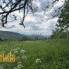 Продаж будинка з земельною ділянкою, фото 18