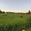Земельна ділянка рівної і правильної форми 20 соток в перспективному селі Ременів, фото 3