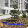 Однокімнатна квартира сирець  ЖК Козацький ІваноФранківськ, фото 12