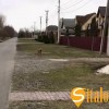 пгт. Великая Дымерка        Садовая ул., 98, фото 3