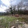 Продаж земельних ділянок в Чорногорії в Которі kt01491.L_s8969, фото 5