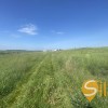 Продаж Земельної ділянки в с.Вислобоки, фото 4