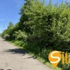 Ділянка 6.15 соток, Біла Дача, вул. 168 Садова, Осокорки, метро Славутич 3.5 км, фото 2
