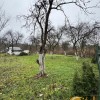 Продаж Земельна ділянка під садівництво  дача, забудова  м. Львів, вулиця Шевченка, фото 4