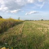 Продаю Земельну ділянку с г призначення . Чукалівка, фото 8