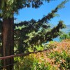 Продаж квартир в Чорногорії в Будві bd011.1bd_s8677, фото 5