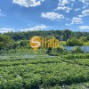 Кутова ділянка біля К. Карпат та озера в Підгірцях, Новообухівський напрямок, 8 соток, фото 2