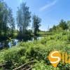 Ділянка з виходом до водойми в затишному місці Романків, СТ Барвінок, Новообухівський напрямок, 14 соток., фото 26