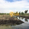 Ділянка під базу відпочінку біля Блакитного озера в Підгірцях, Новообухівська траса, 84 сотки., фото 11