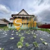 Будинок 664 кв.м., ділянка 17 соток, під комерцію, житло, або виробництво, фото 14