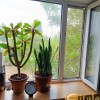 Продаж 3 кімнатної квартири Бородинський мікрорайон, фото 13