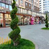 Оренда комерційного приміщення ІваноФранківськ Центр, фото 14