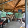 Продаж  Будинок  Енергетик, Старе Село, фото 34