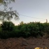 Земельна ділянка рівної і правильної форми 20 соток в перспективному селі Ременів, фото 7