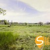 пгт. Великая Дымерка        Садовая ул., 98, фото 5