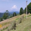 Продається земельна ділянка  в Яблуниці, фото 7