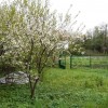 Відкладений продаж  _ Будинок, продаж, цегла, с. Коцурів, Львів, фото 2