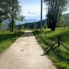 Земельна ділянка 54 сотихм.Яремче, фото 3