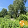 Ділянка з виходом до водойми в затишному місці Романків, СТ Барвінок, Новообухівський напрямок, 14 соток., фото 23