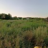 Земельна ділянка рівної і правильної форми 20 соток в перспективному селі Ременів, фото 2