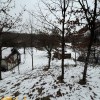 Земельна ділянка з будинком в с.Посіч 2625884601020010910, фото 8