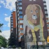3 кімнатна квартира у новобудові з якісним ремонтом по вулиці Пулюя Львів, фото 11