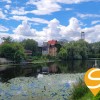 Оренда 1кімнатна квартира ЖК Рівєра Газ Автономне опаленняОсокорки, фото 21
