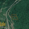 Продаж  Земля рекреаційного призначення  с. Новий Мізунь, фото 3