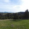 Продається  Земля в  Яблуниці, фото 1