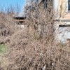Продаж будинку з земельною ділянкою  в Козині,Дамба., фото 9