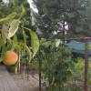 Сучасний будинок під ключ із гаражем та авторським садом., фото 8
