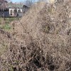 Продаж будинку з земельною ділянкою  в Козині,Дамба., фото 8