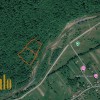 Продаж  Земля рекреаційного призначення  с. Новий Мізунь, фото 2
