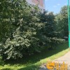 Продаж 3к квартири 115 кв. м  на ул. Академіка Ющенка 5, фото 15
