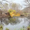 Ділянка 21 сотка з видом на ліс Гнідин , без, фото 6