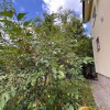 Продаж  Будинок  Енергетик, Старе Село, фото 39
