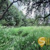 Земельна ділянка під житлову забудову с. Грушів Яворівський рн Львівська обл., фото 4