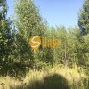 Ділянка з панорамним видом біля лісу в Лісниках, поруч Equides Club, Новообухівський напрямок, 14 соток., фото 6