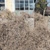 Продаж будинку з земельною ділянкою  в Козині,Дамба., фото 7