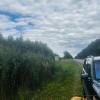 Продаж земельної ділянки під обслуговування багатоквартирного будинку,  село Бартатів, Львівська область., фото 2