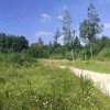 Земельна ділянка під забудову, Липники, фото 4